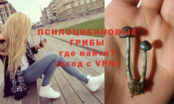 эйфоретик Белокуриха