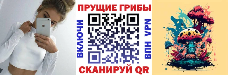 Галлюциногенные грибы Magic Shrooms  Ужур 